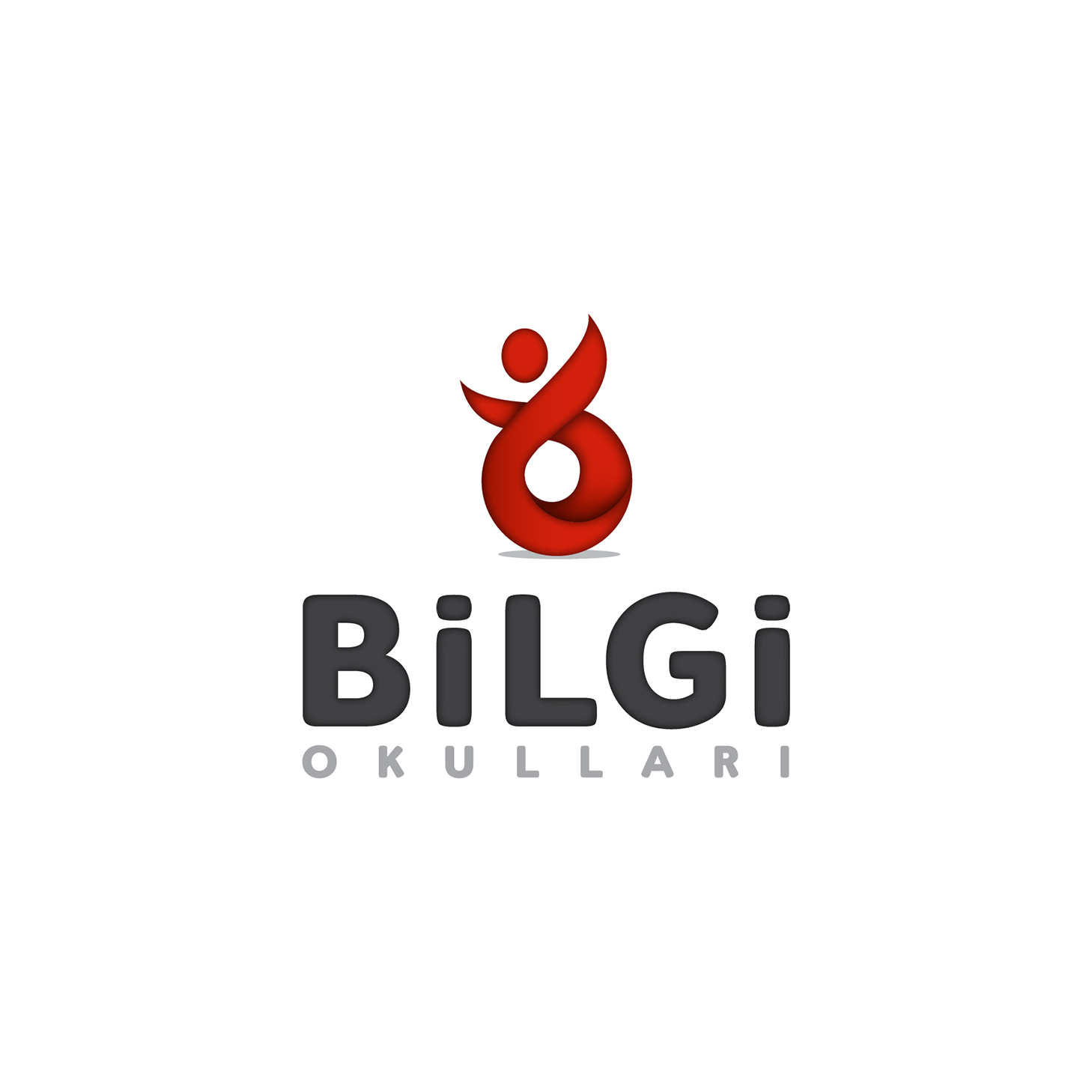Bilgi Okulları